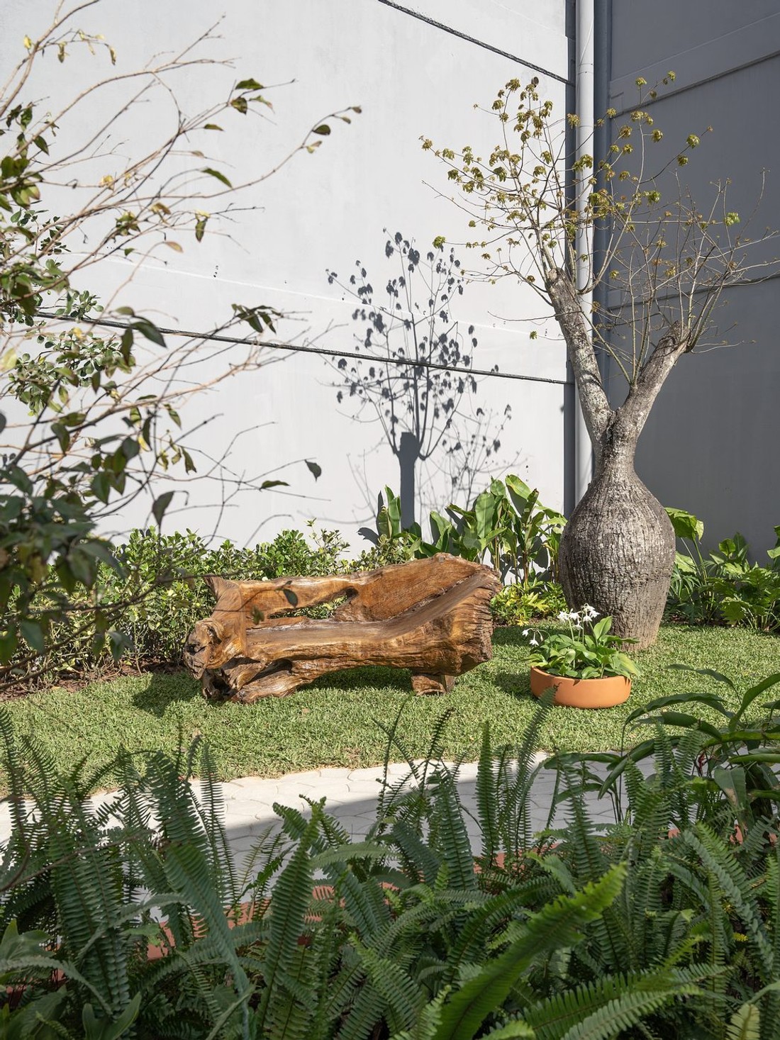 Banco esculpido em madeira, no jardim