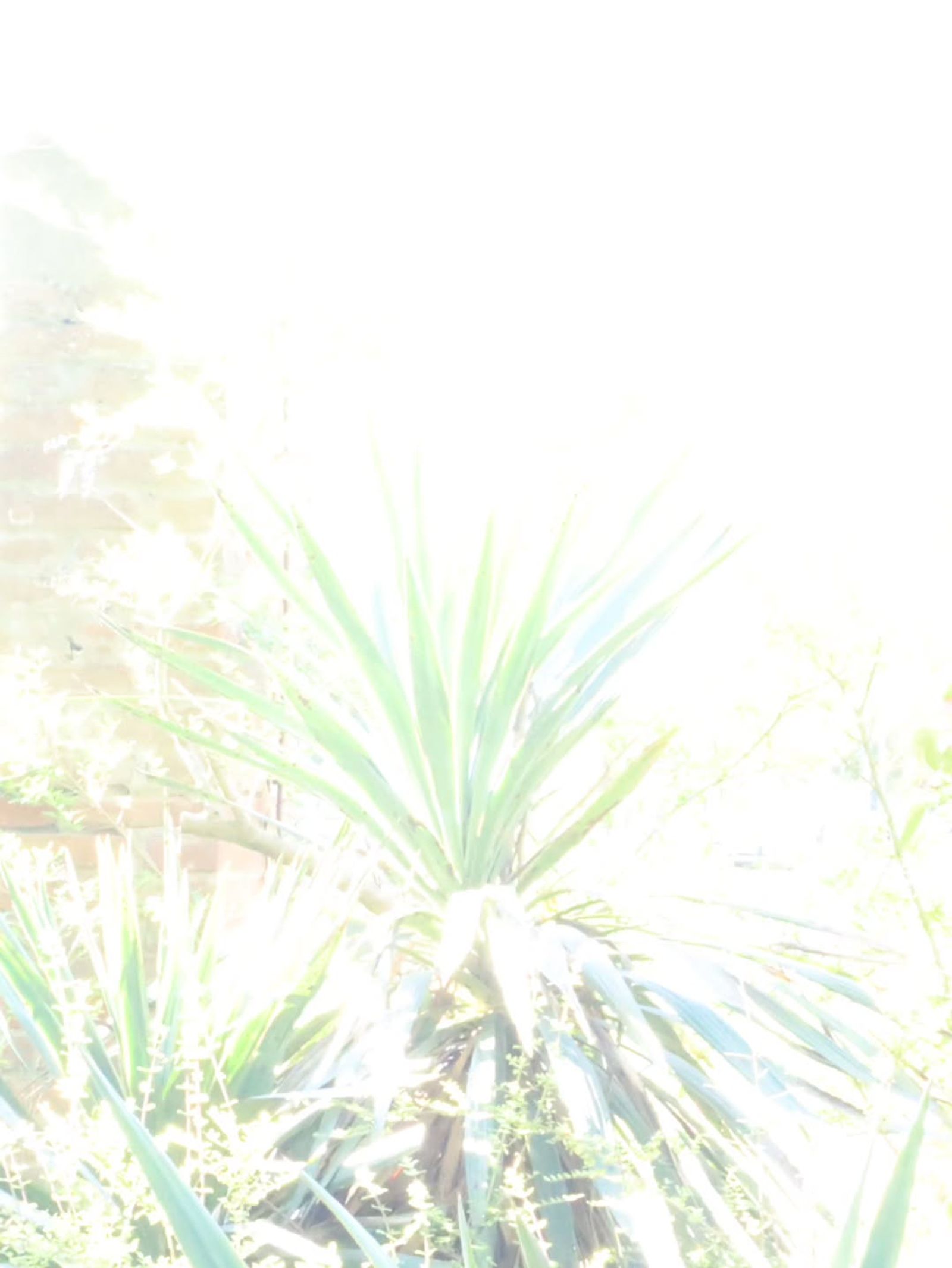 Nature Zero