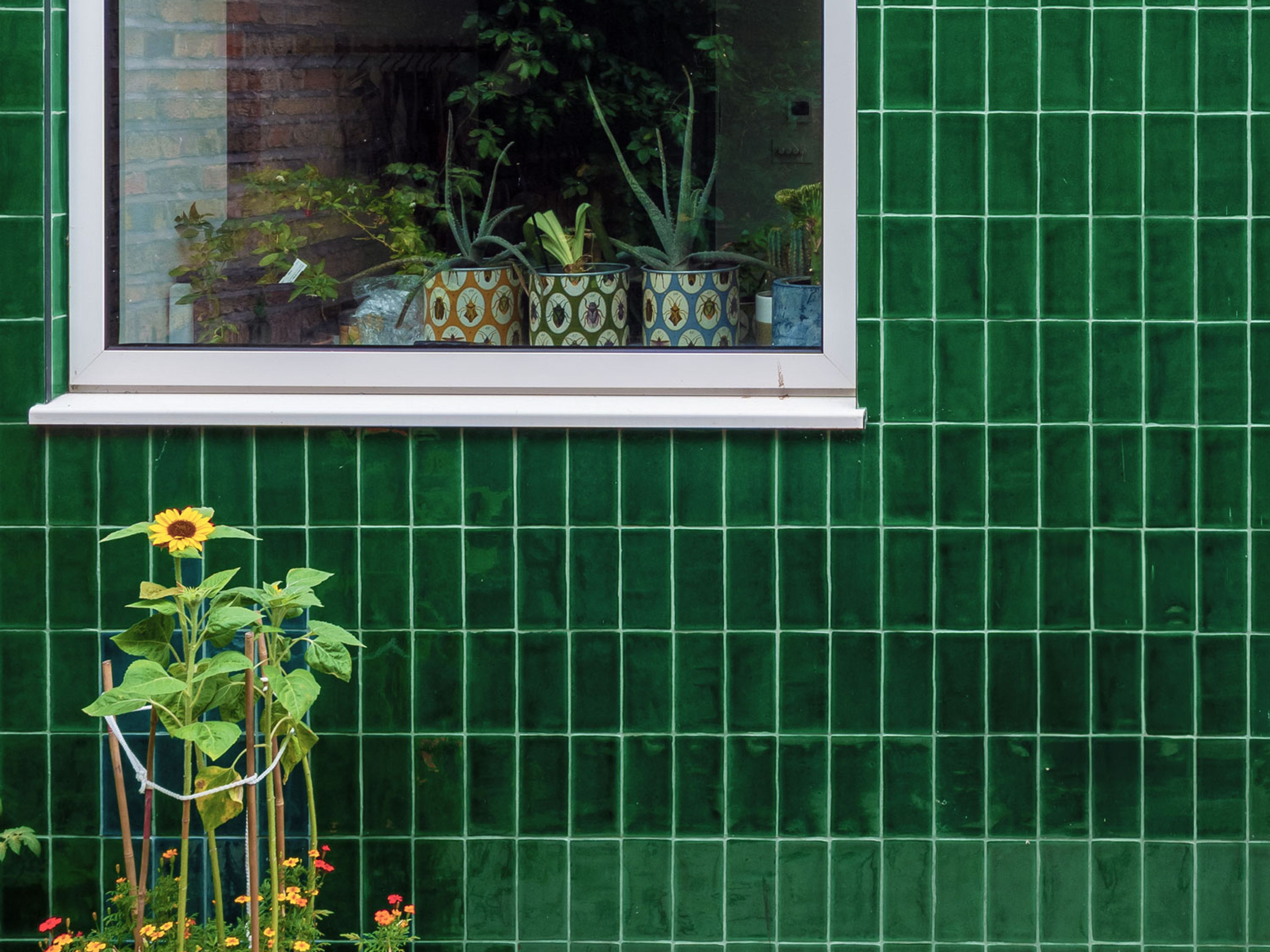 Green Gluggle House