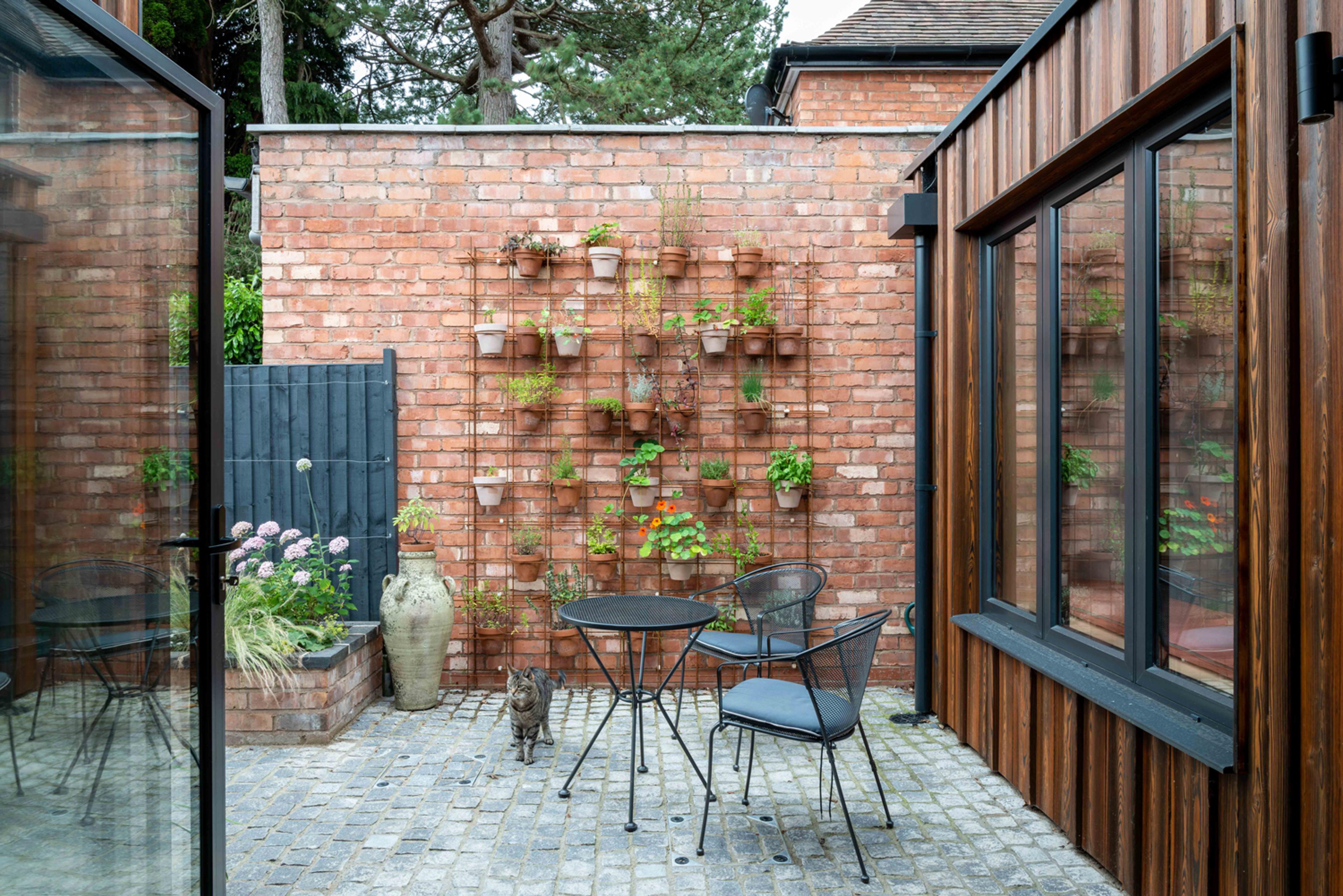 The Courtyard and The Cat