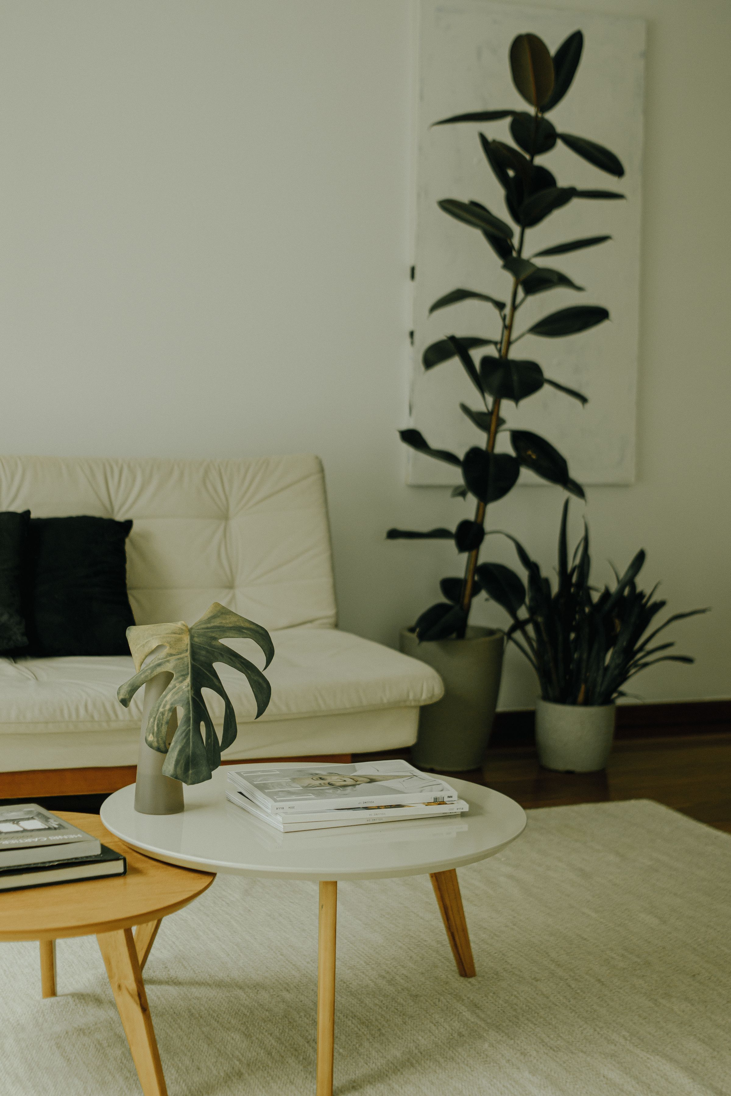 A calm living room in cream and natural tones with large indoor plants beside the window