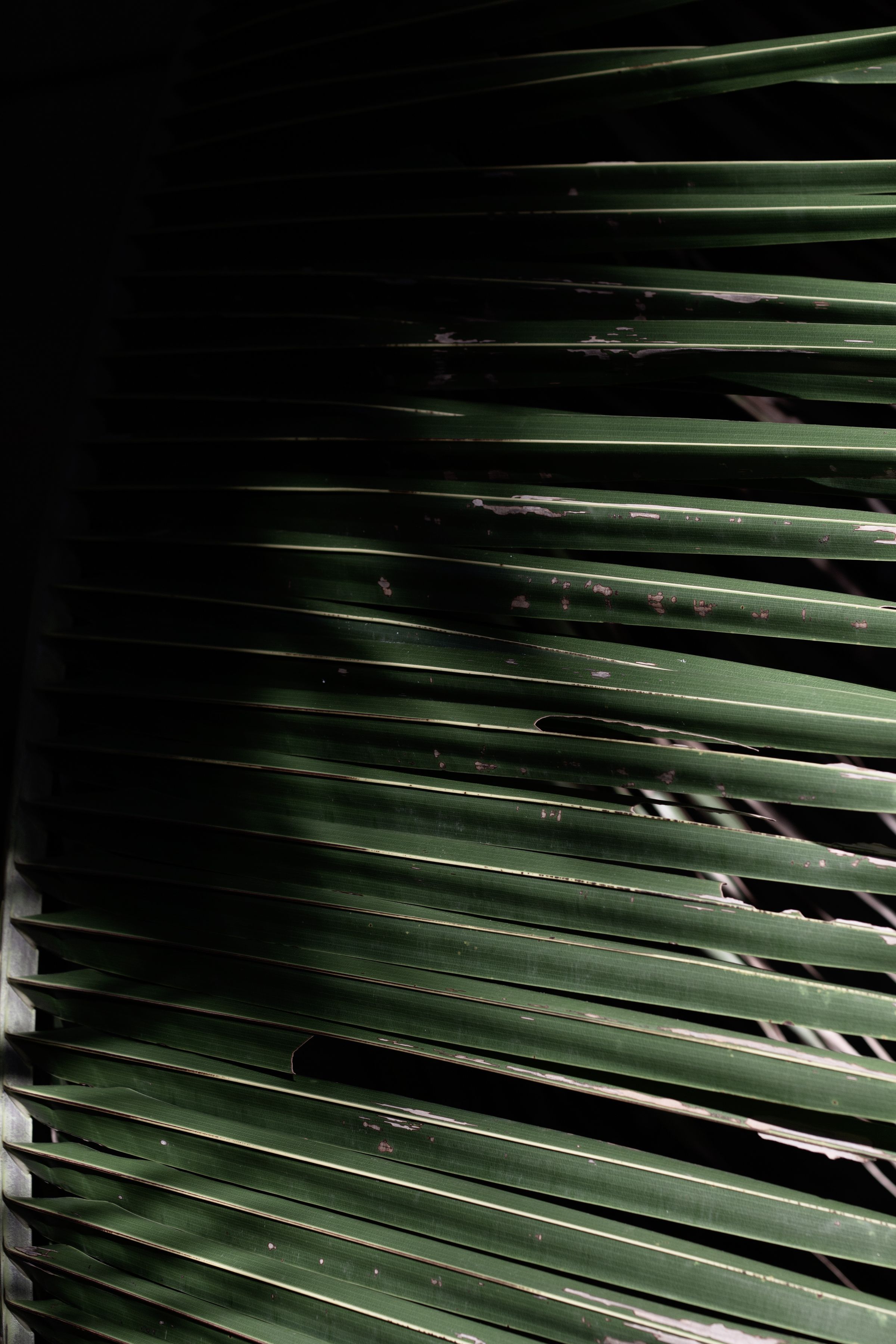 Fine dark metal slats catching a hard edge of light