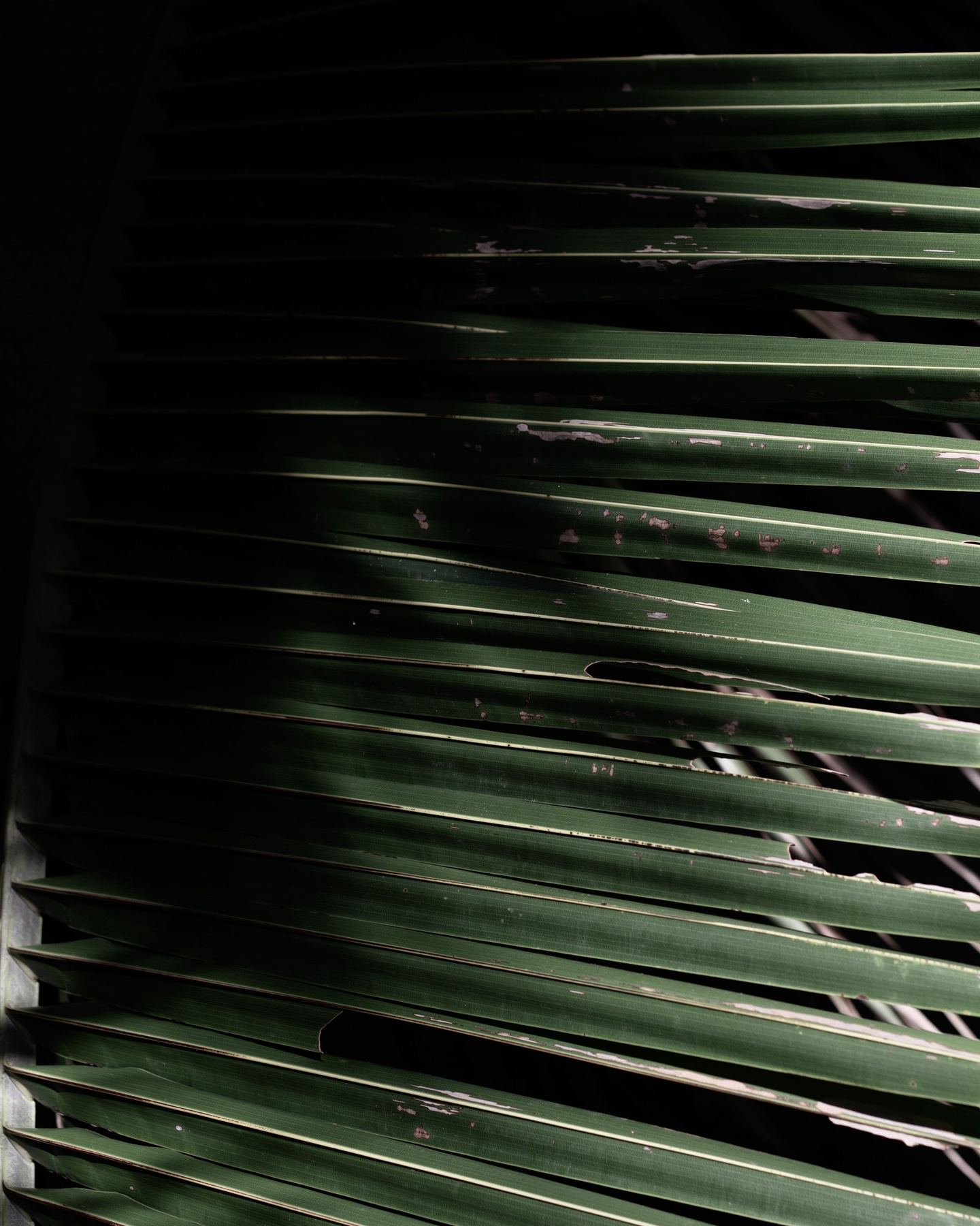 Fine dark metal slats catching a hard edge of light