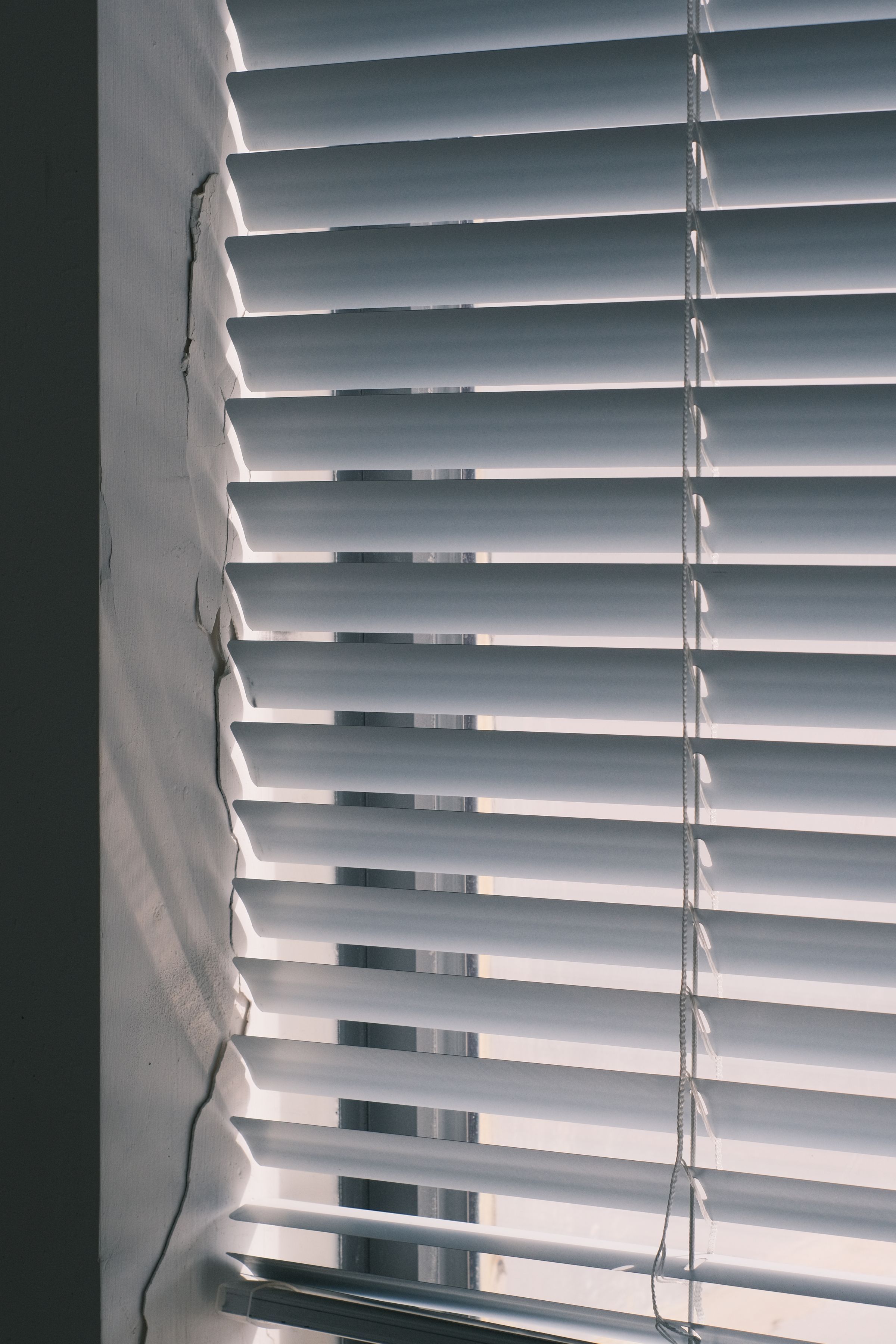 Smooth white blades, unmarked by moisture, filtering bright daylight