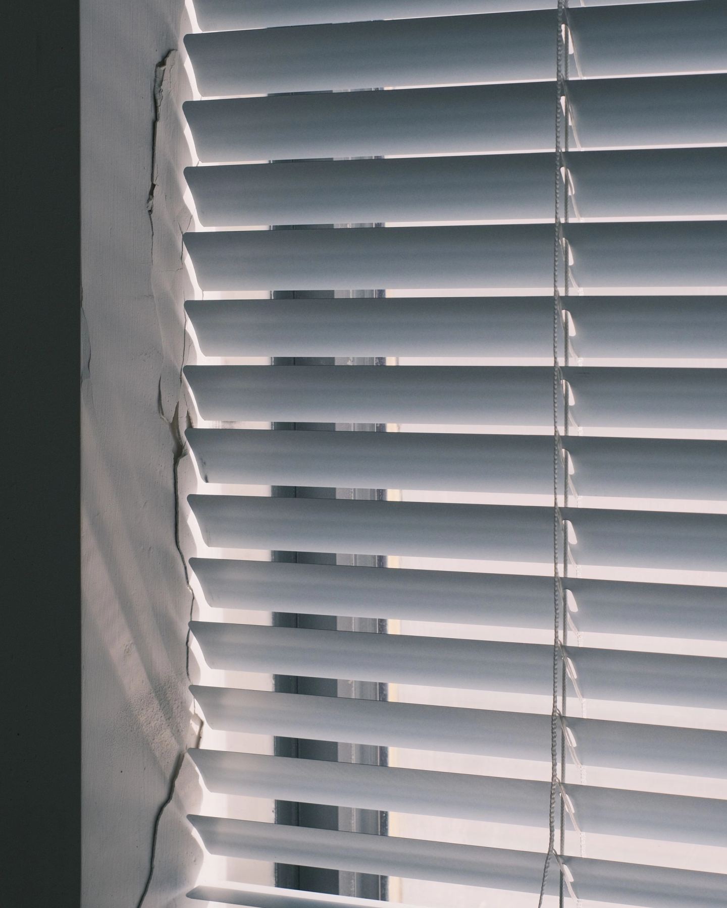 Smooth white blades, unmarked by moisture, filtering bright daylight