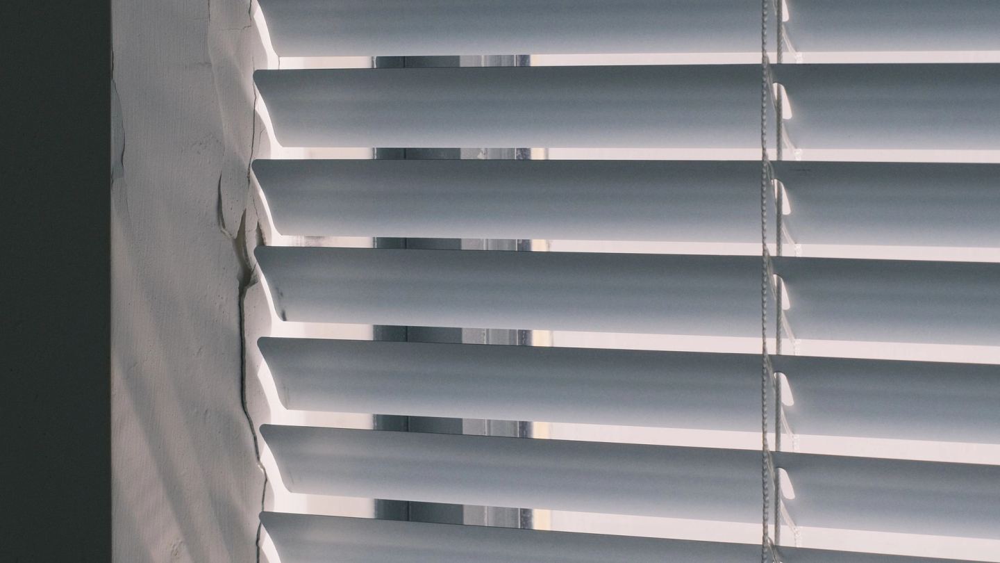 Smooth white blades, unmarked by moisture, filtering bright daylight