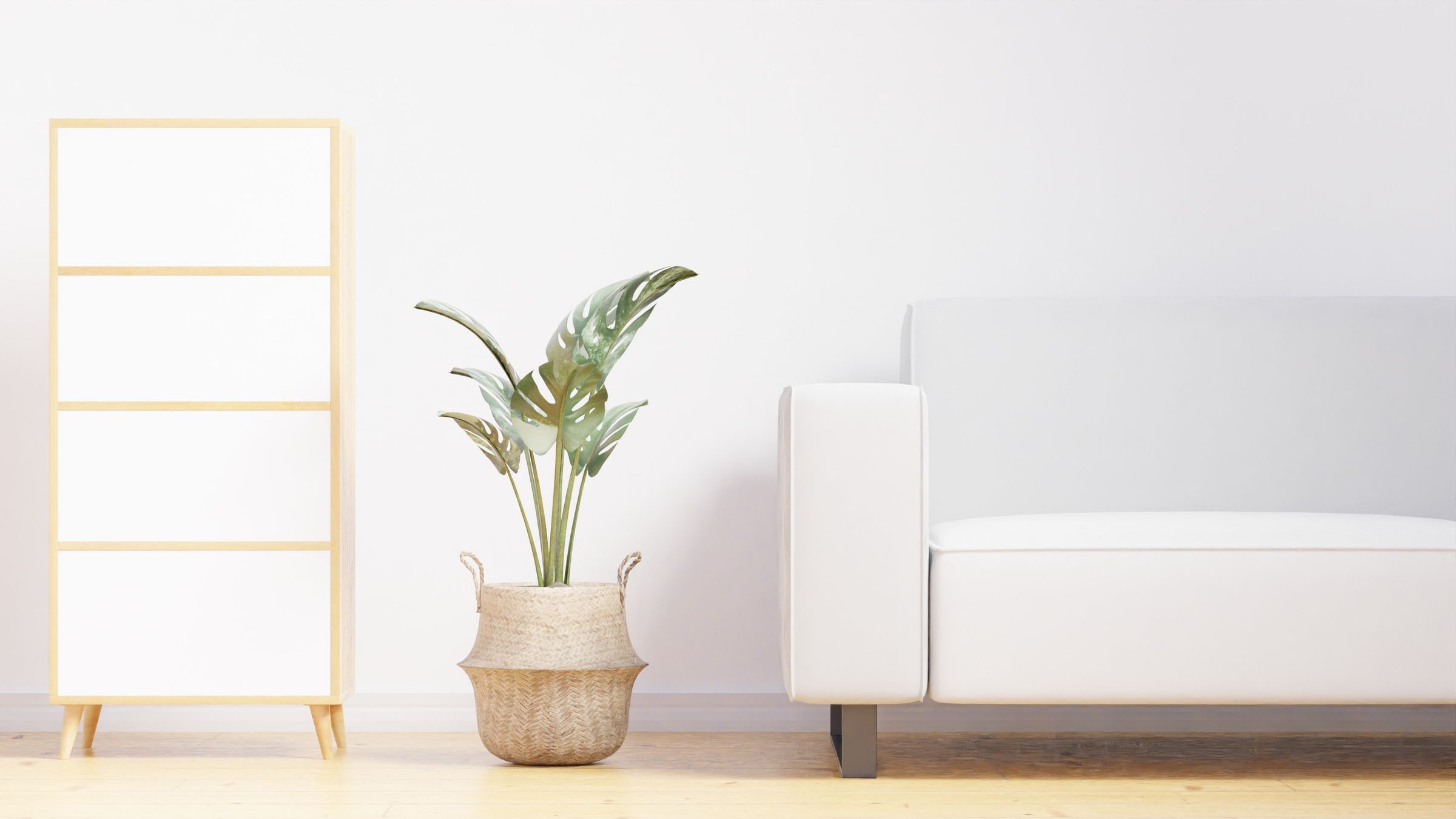 A quiet, minimal interior in white and pale timber — placeholder for a portrait of the family
