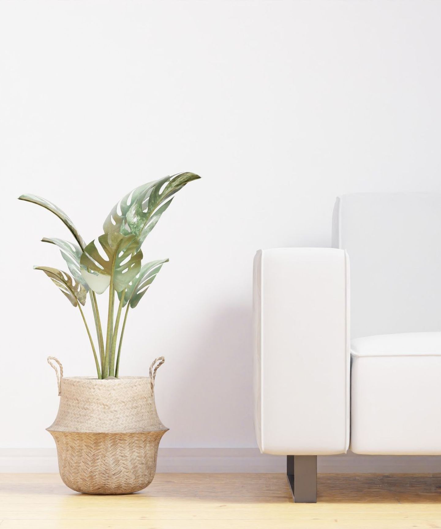 A quiet, minimal interior in white and pale timber — placeholder for a portrait of the family