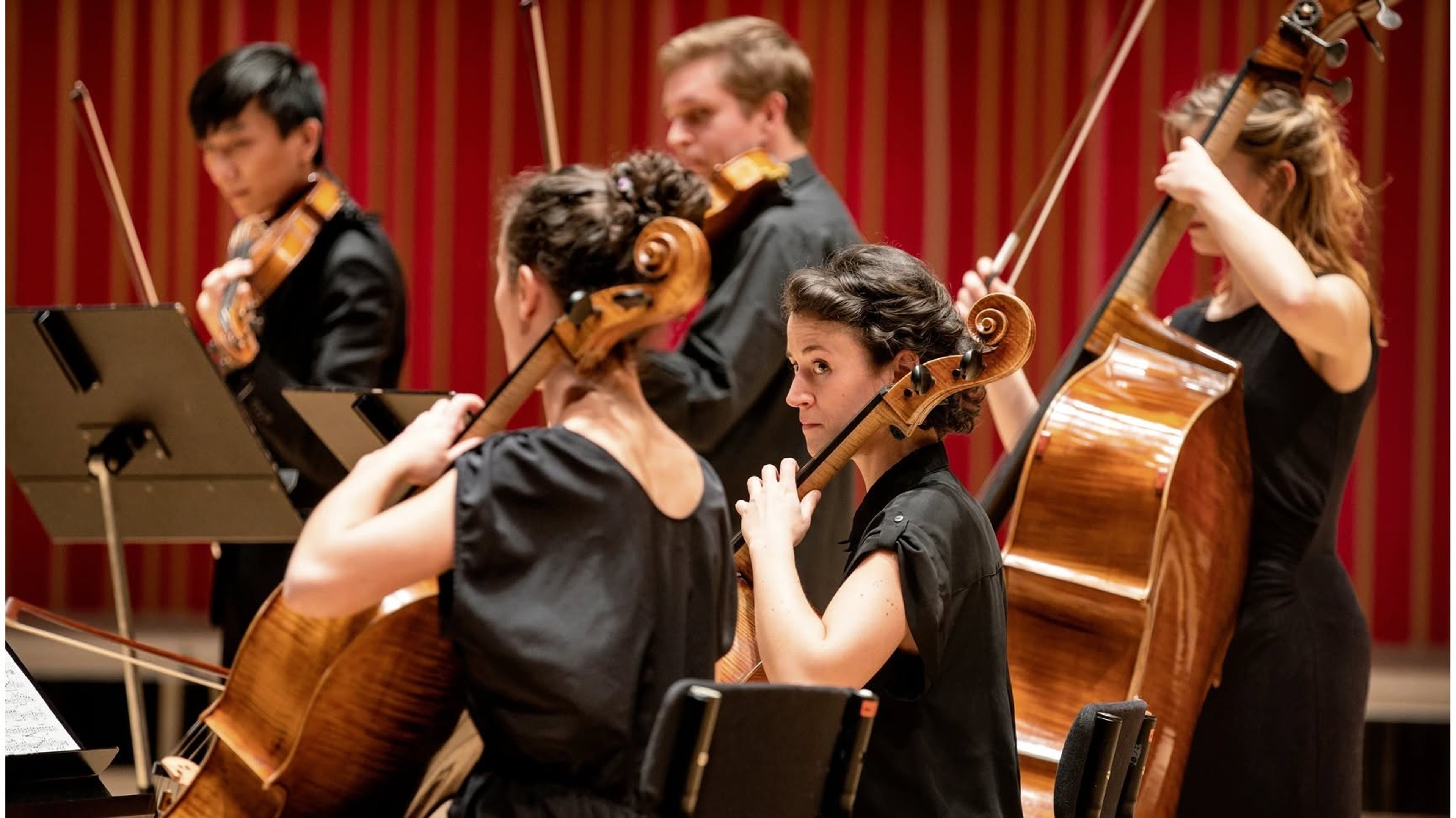 Ensemble Hermes & Sct. Pauls Cantori