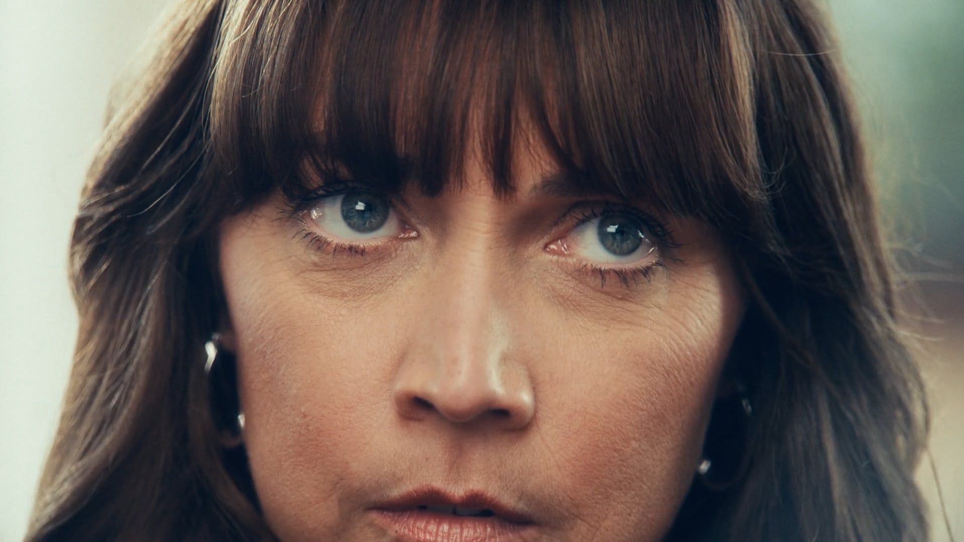 Royal Kingdom: No Wifi