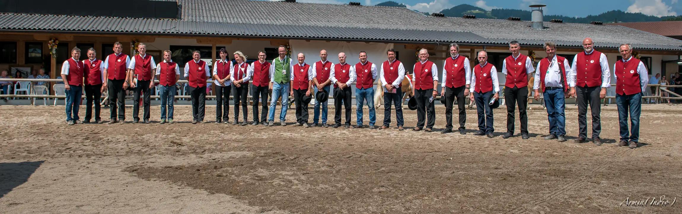 Haflinger Foto 7 aus Zucht und Sport