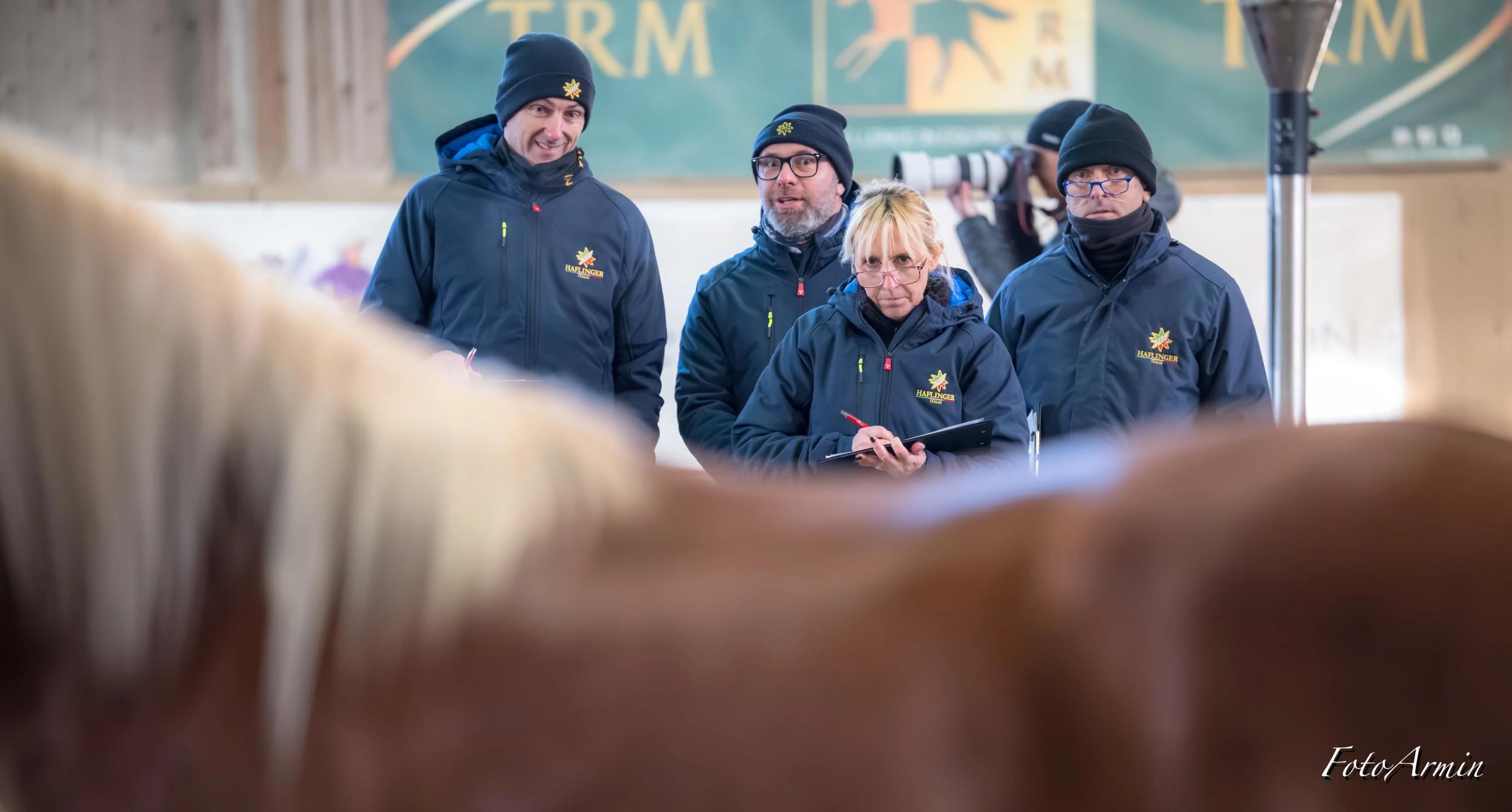 Die Haflinger-Körwoche