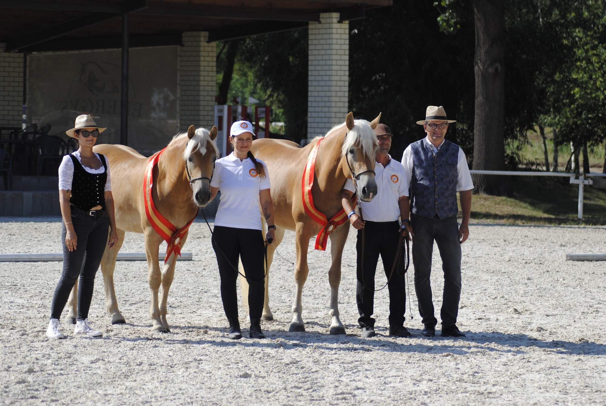 Tschechische Nationale Haflingerschau 2026