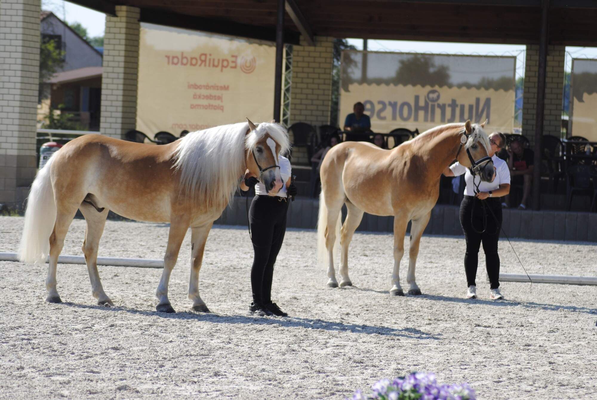 Tschechien 2026