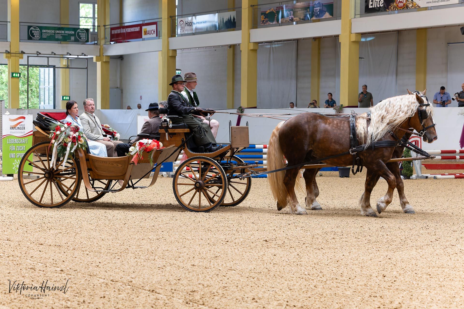 Bundeshengstschau von Pferd Austria in Stadl-Paura 2026