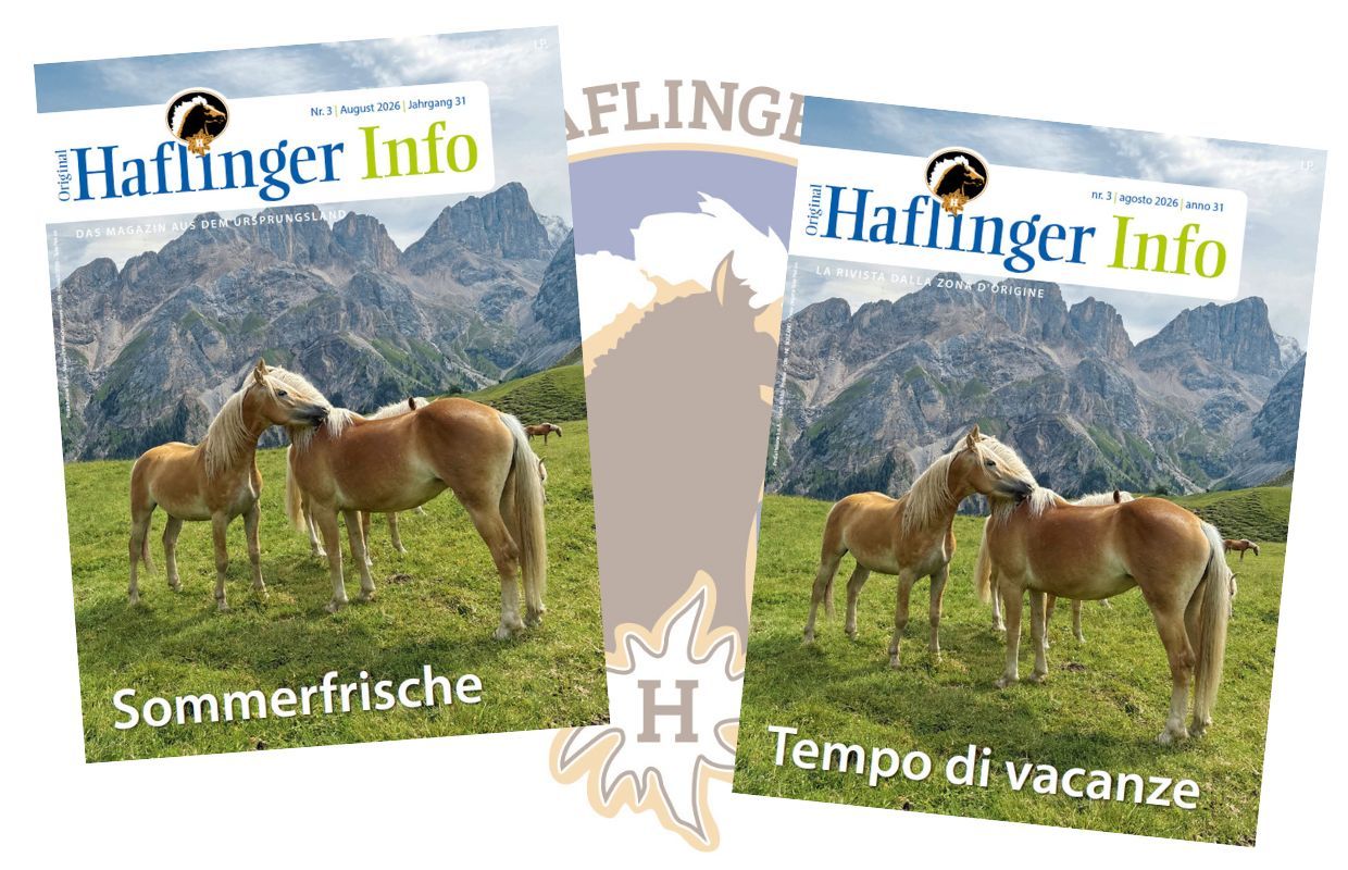 Haflinger Info – è uscito il nuovo numero!