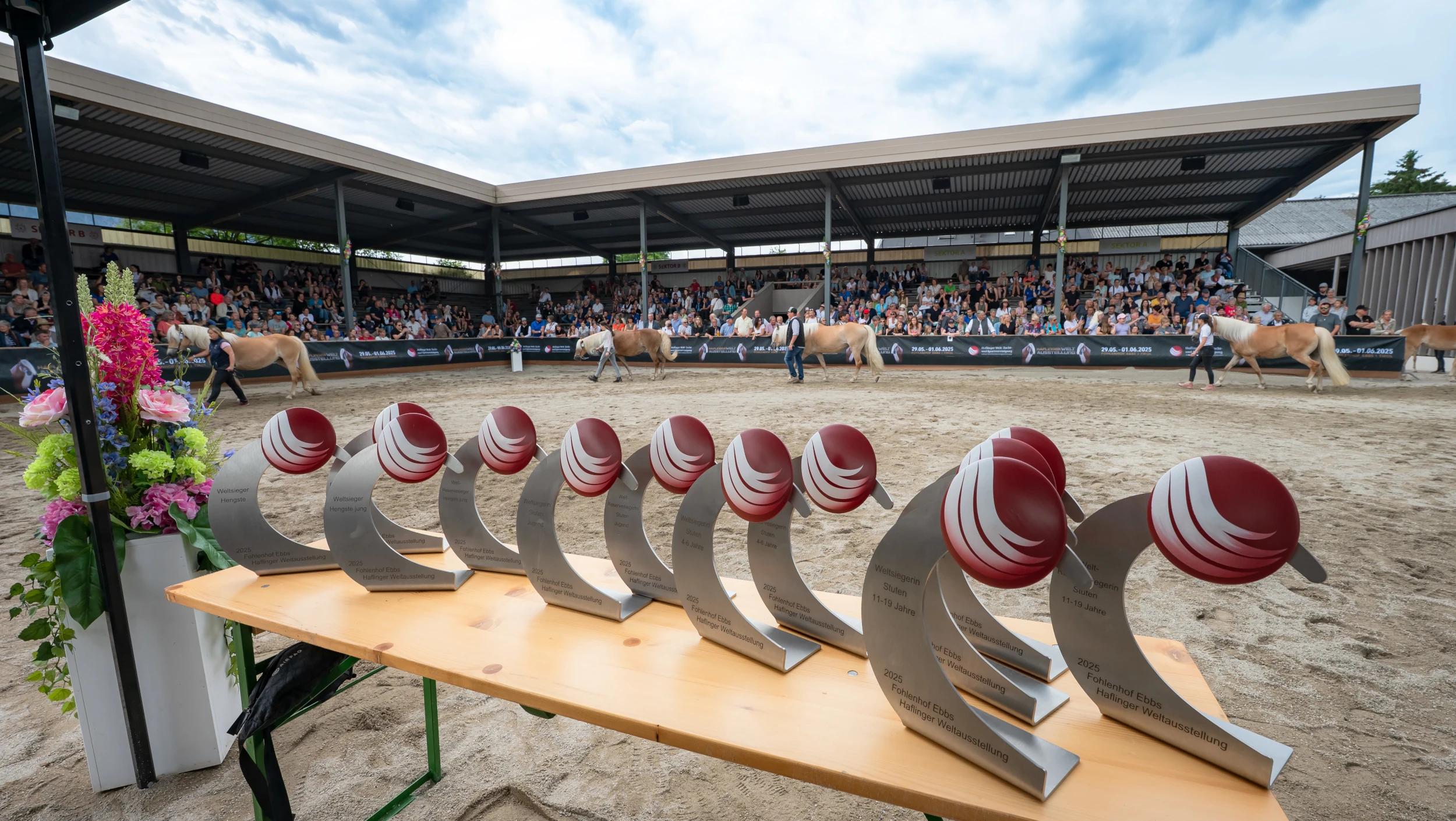 Die Haflinger Weltausstellung