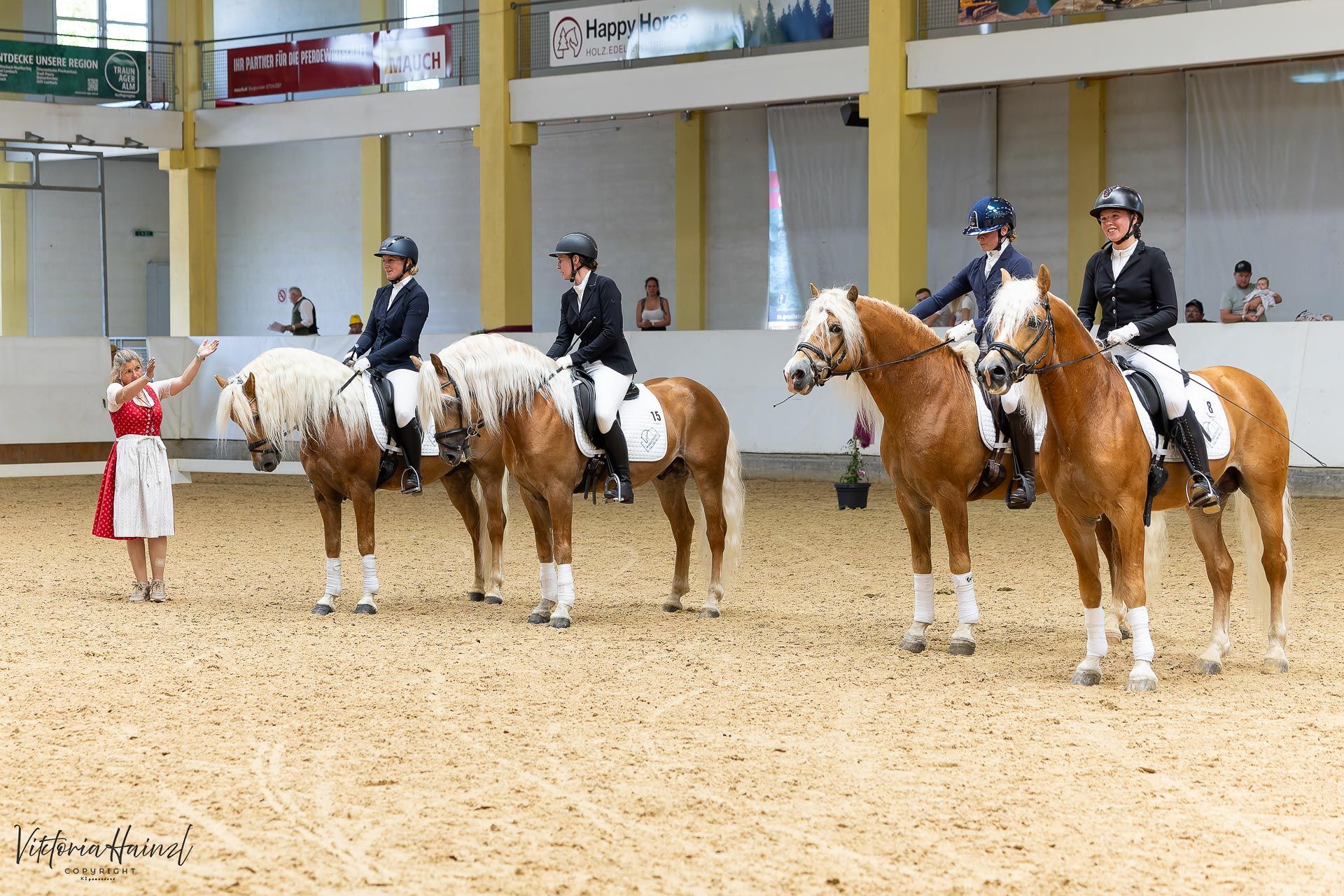 1. Bundeshengstschau von Pferd Austria in Stadl-Paura