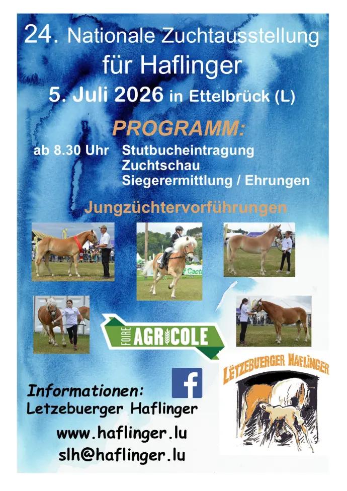 24. Nationale Zuchtausstellung für Haflinger