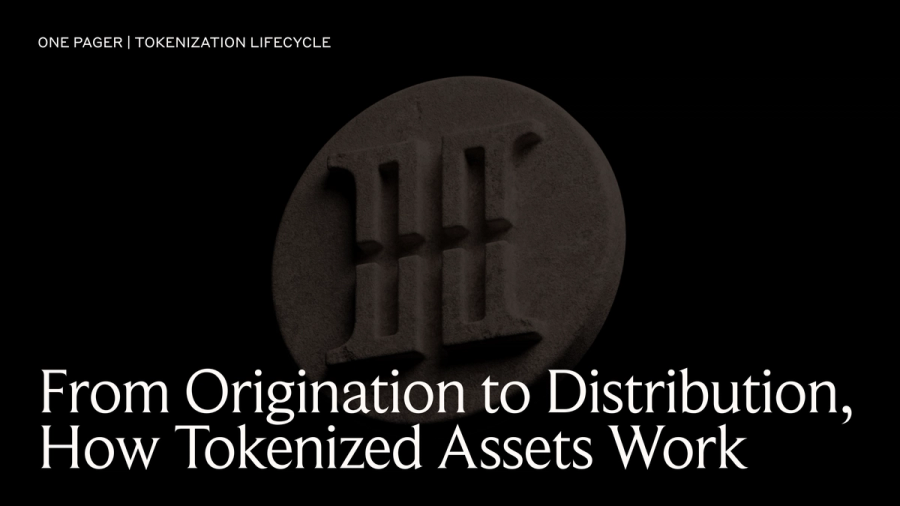 Tokenization Lifecycle