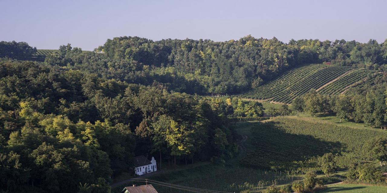 Weingut Rudolf Fidesser