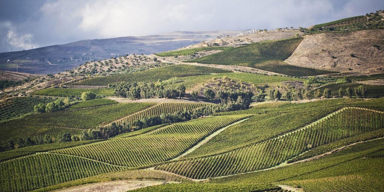 Tasca d´Almerita Gruppe