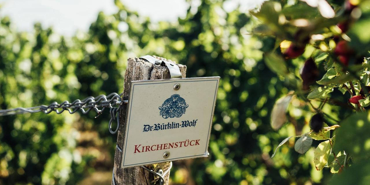 Weingut Bürklin Wolf