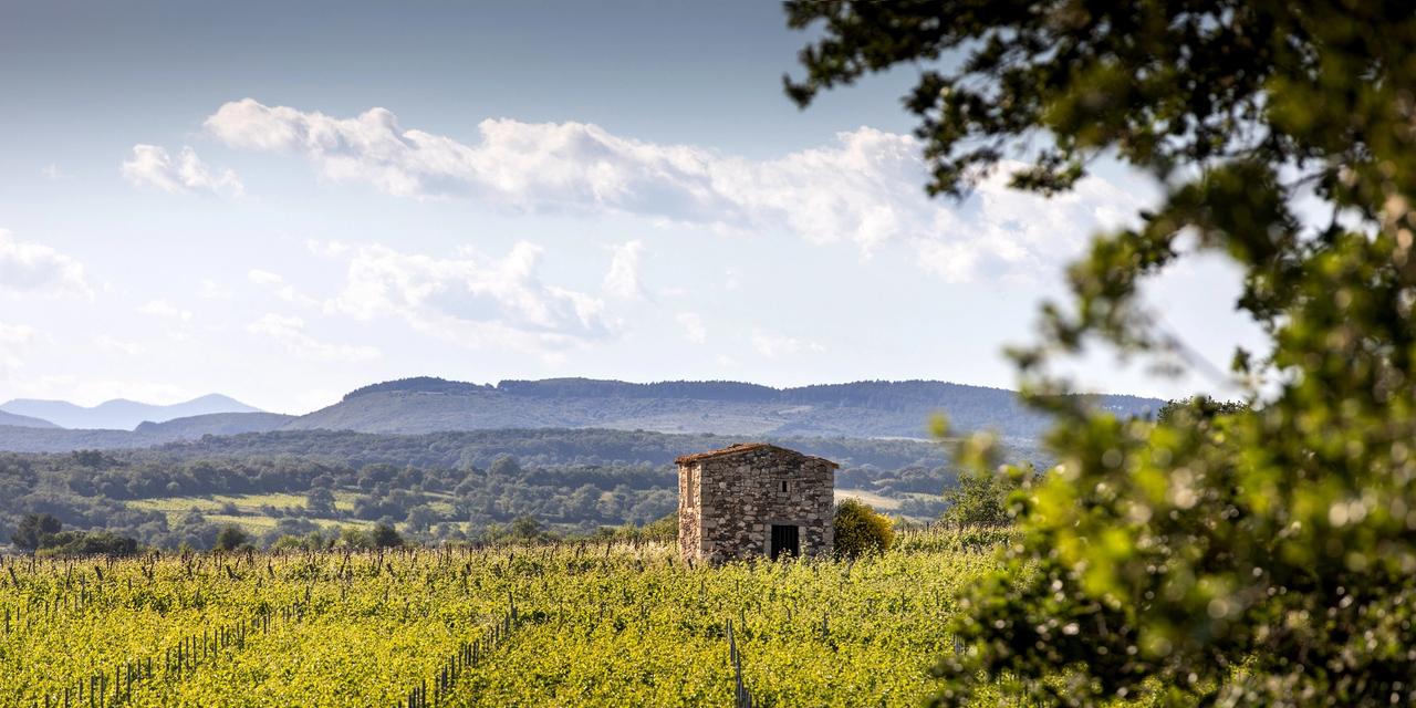 SA Francois Lurton - FR