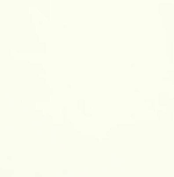 brush-crudo-pfd-1-telas_real-colombia.webp