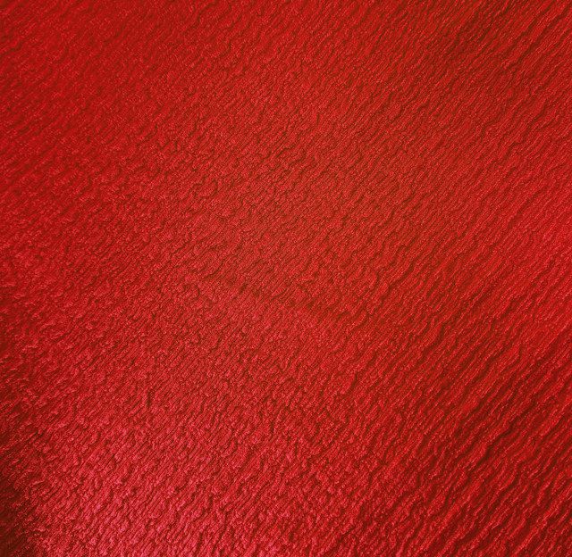 Irazu Rojo Brillante X Metros  | Tela Grabada - Vista 2