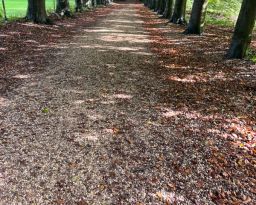 Gravel