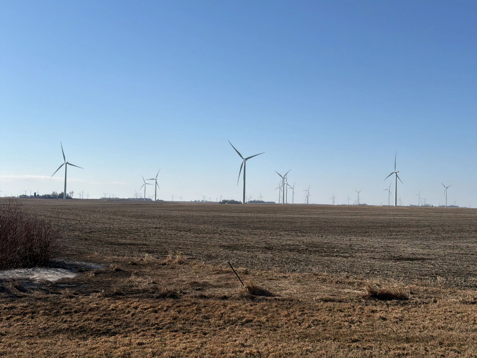 Aerogeneradores en un terreno de conservación que utiliza cercado virtual para el ganado