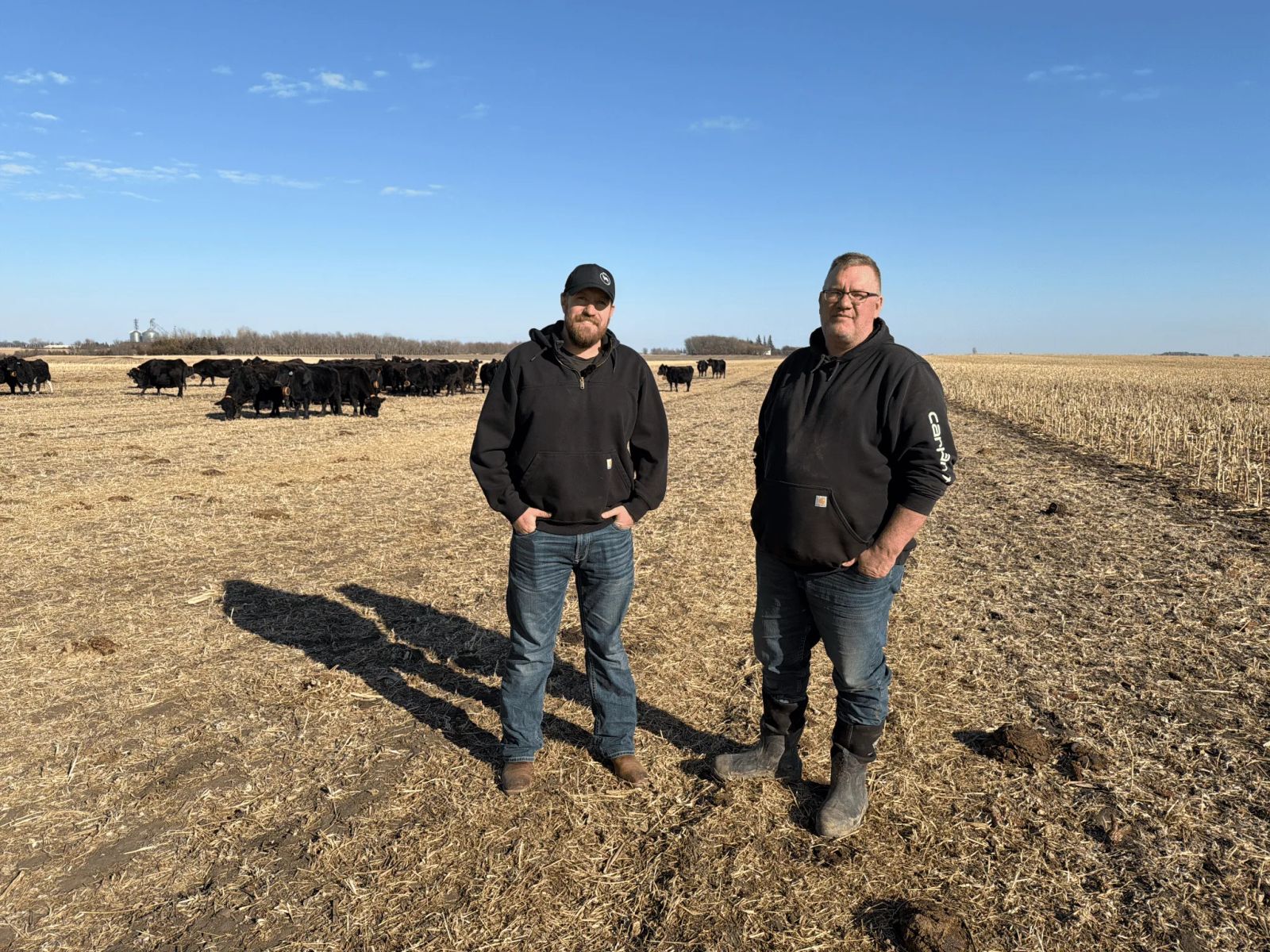 Ryan and Mitch Gravenhof in crop field with eShepherd cows