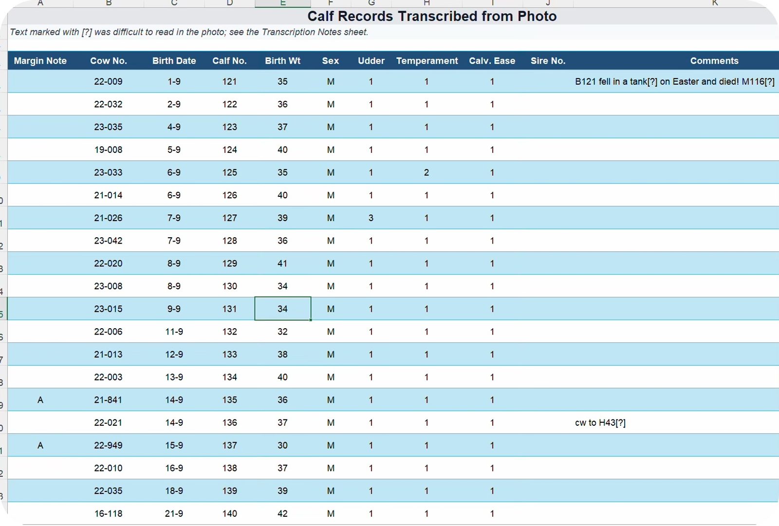A screenshot of a spreadsheet that was created by ChatGPT from a scanned image of a calf book page entry