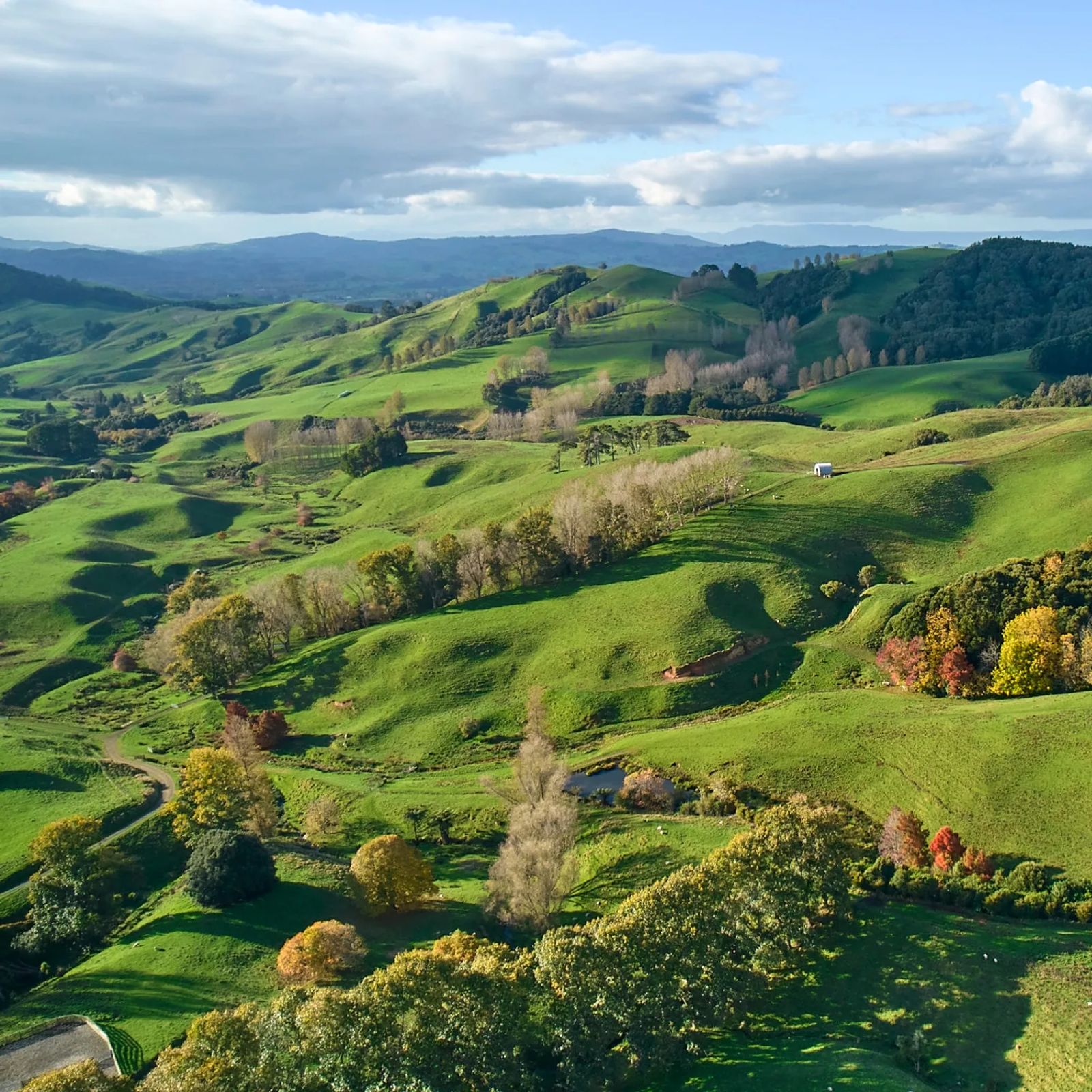 A pastoral landscape of rolling autumn hills with grazing country in the foreground
