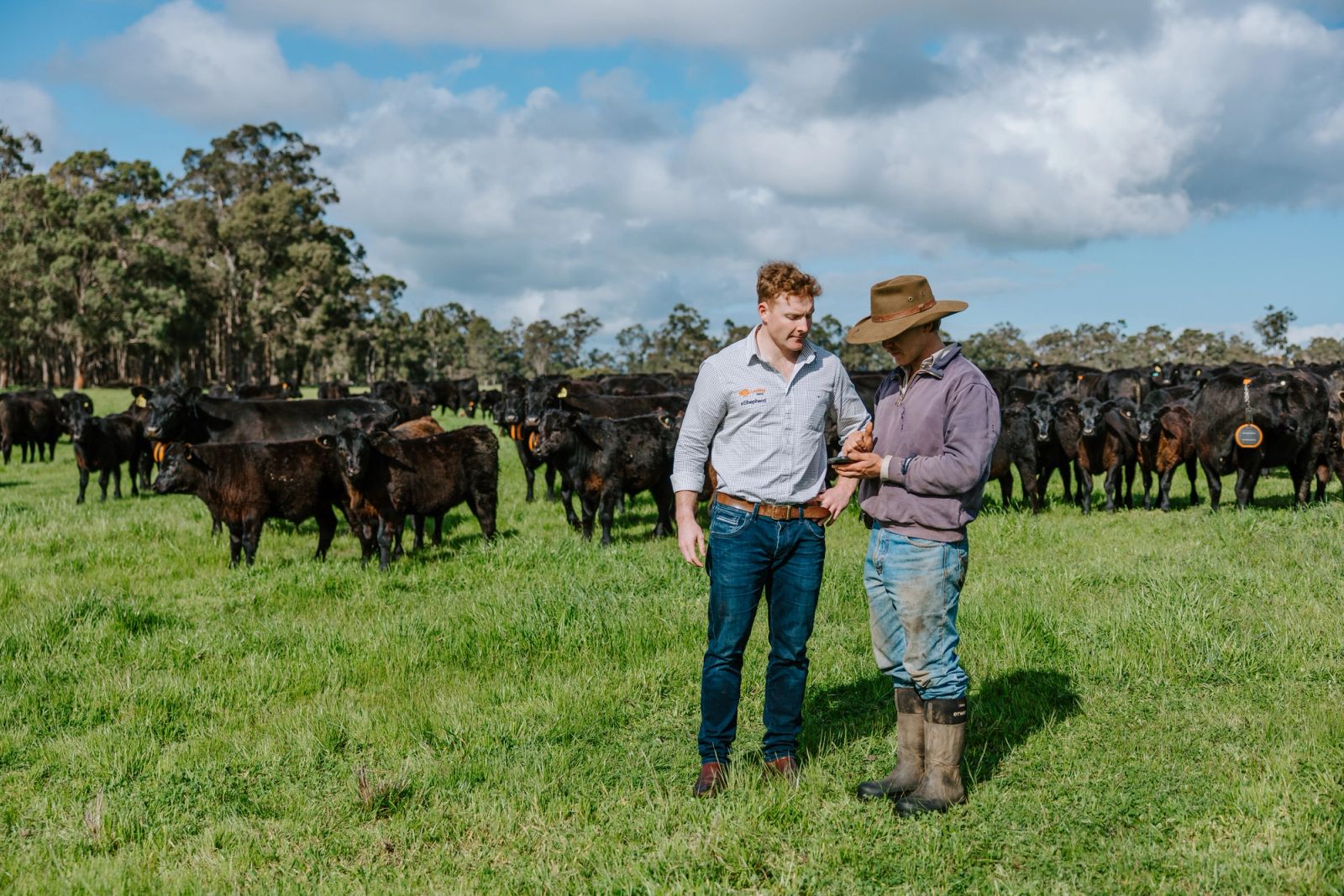 Farmer in field with eShepherd