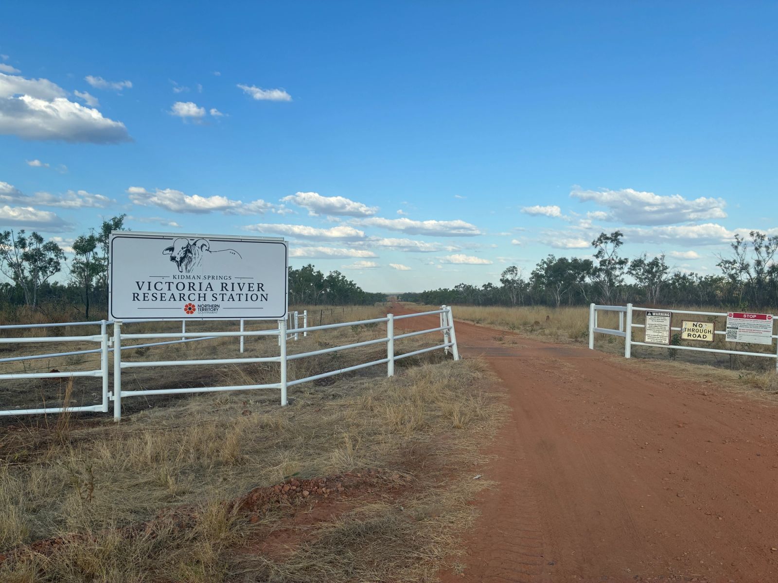 Kidman Springs Station in the Victoria River district