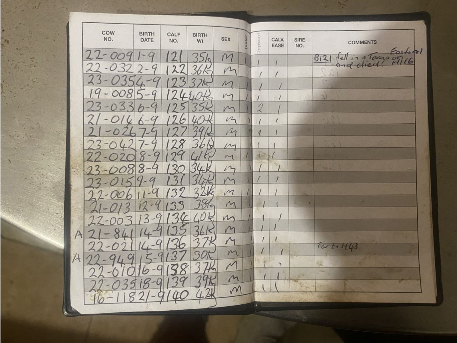 A real calf book ready to be digitial scanned into a spreadsheet by AI
