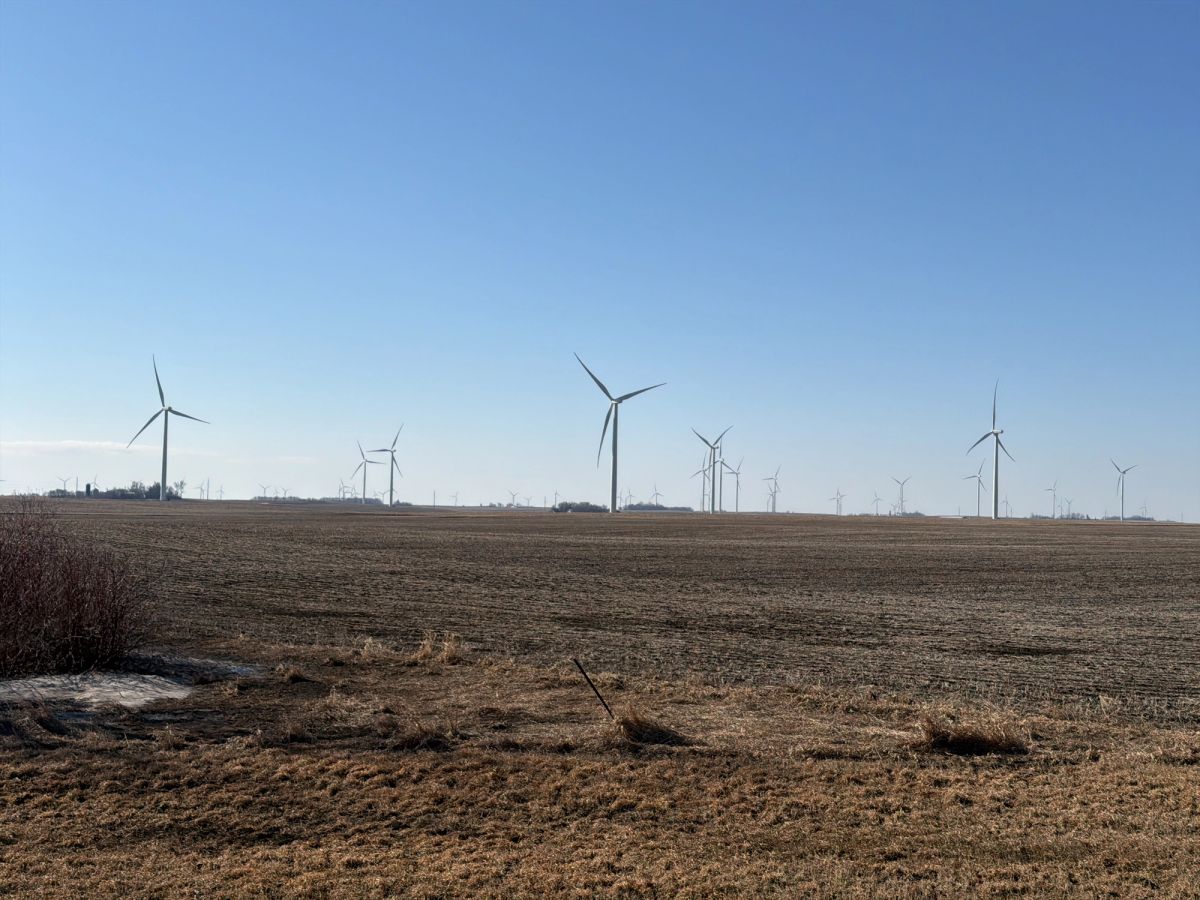 Wind turbines in fields