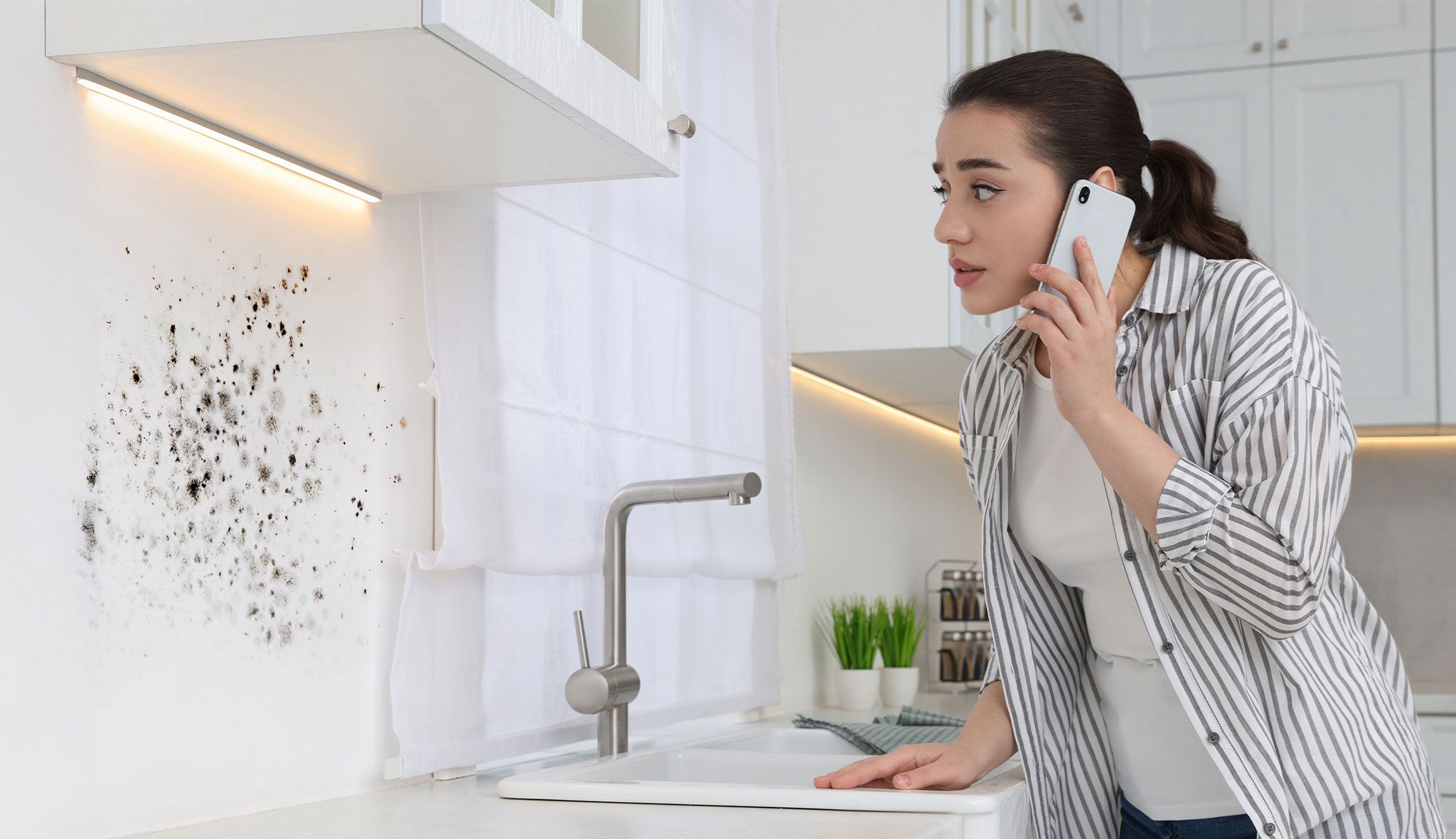 How to Prevent Mold Growth in Commercial Kitchens 