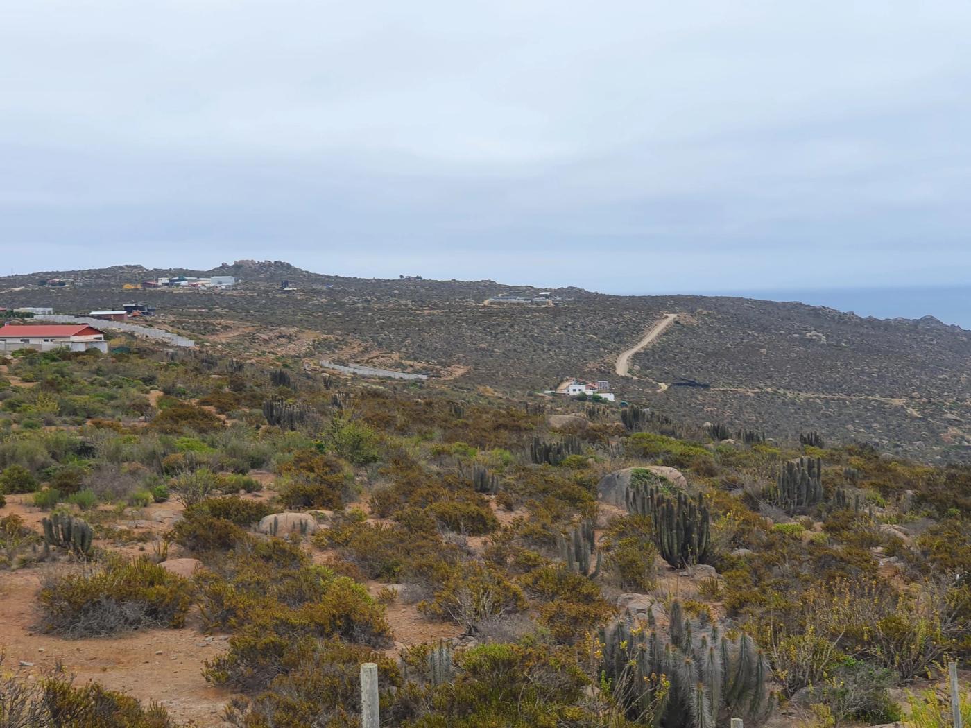 Terreno con cactus, camino de acceso y galpones al fondo