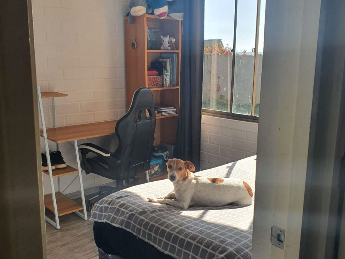Dormitorio con escritorio, silla, estante y ventana con vista a un muro exterior.