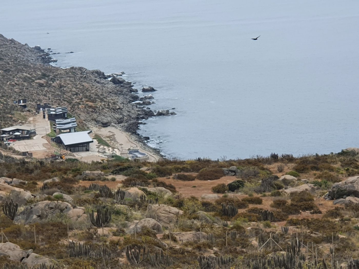 Bahía con playa, construcciones y un ave en vuelo