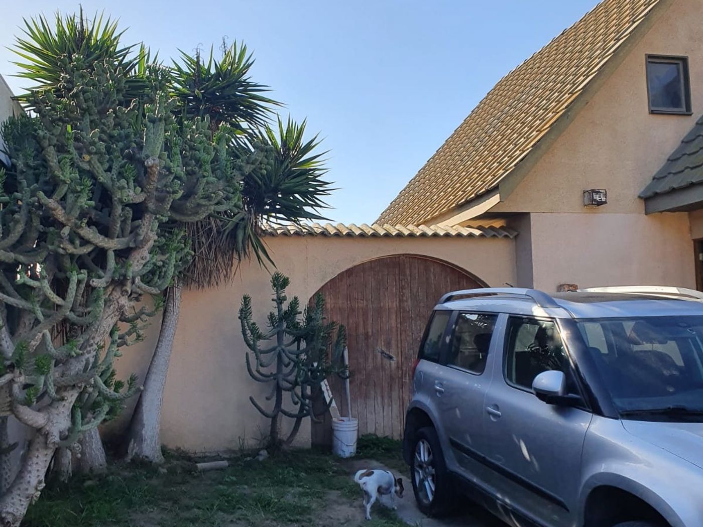 Toma casi idéntica del patio lateral con el portón de madera, cactus y auto estacionado.