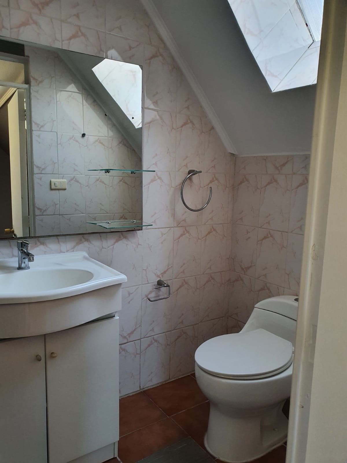 Baño de la mansarda con vanitorio, inodoro, espejo mural y ventana cenital en techo inclinado.