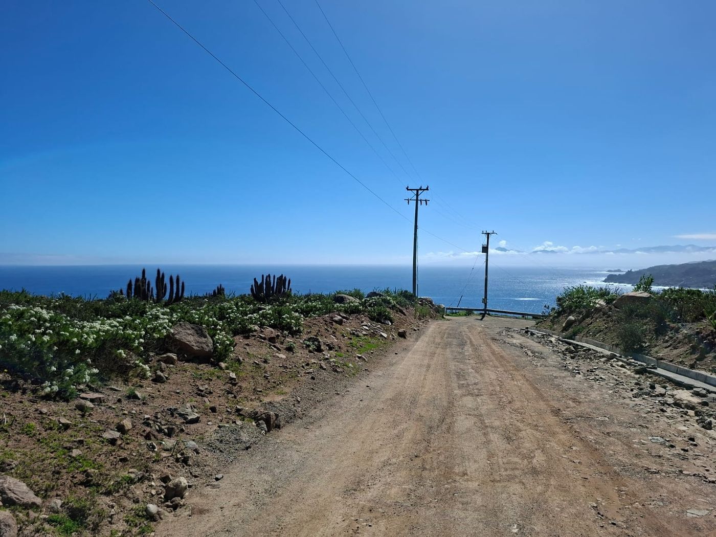 Camino de tierra con vista panorámica al océano y vegetación costera.