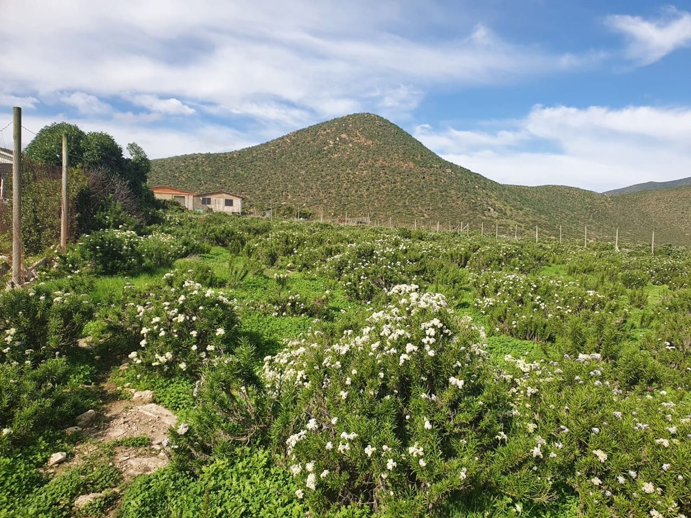 Vista amplia del terreno conectado con la naturaleza y entorno campestre costero.
