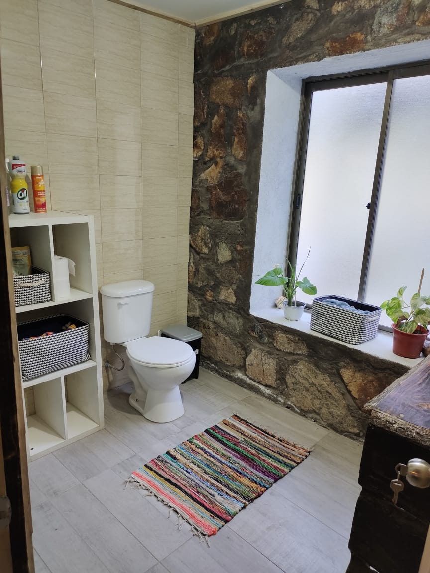 Baño con WC, muro de piedra, ventana y plantas