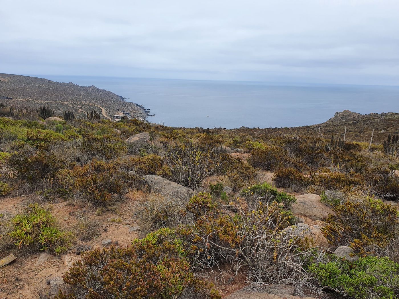 Terreno en pendiente sobre la bahía con matorral y roca