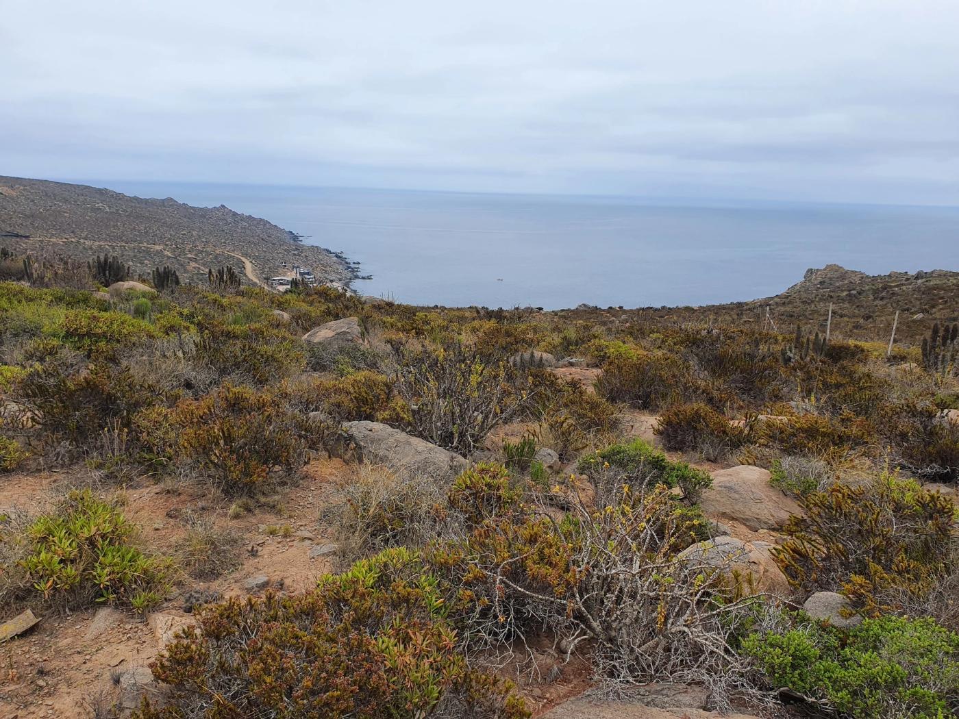 Terreno en pendiente sobre la bahía con matorral y roca